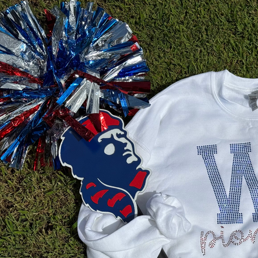 CUSTOM MASCOT SPIRIT STICK